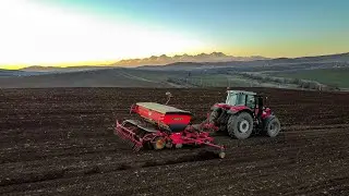 Massey Ferguson 7726 Väderstad rapid 400C / Sejba , Siew 2023 /