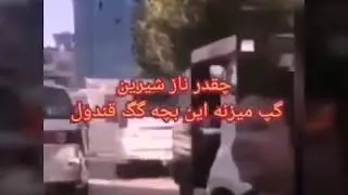 فهیم