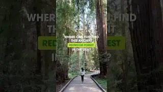 Explore #MuirWoodsNationalMonument in #California