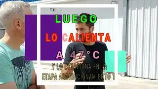 CONOCE TODOS LOS SECRETOS DEL CULTIVO DE HONGOS DE CHAMPIÑONES Y PORTOBELLO/BLANC HONGOS FRESCOS