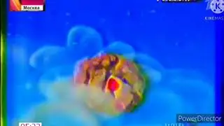 Заставка спокойной ночи малыши