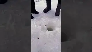 Бешеный клев окушков. Лед тает на глазах. закрытие сезона