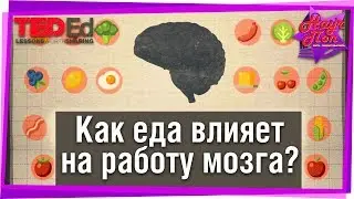 🧠 Как питание влияет на работу мозга? 