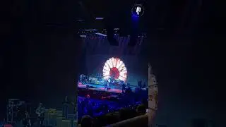 #joebonamassa soloing on Evil Mama Crossroads 9/23/2023 #Shorts
