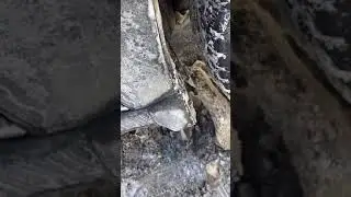 Just normal Canadian stuff