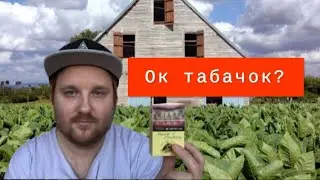 ОБЗОР СИГАРЕТ МСЬЕ ТАБАЧОК / ГОДНОТА ЗА 65р?