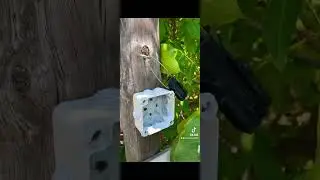 Installation EZVIZ video cameras/Hik-Connect/ hikvision