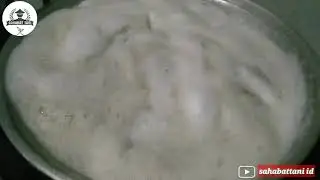 MENGOLAH BUAH BERENUK/MAJAPAHIT YANG KATANYA BERACUN