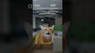Как настроить Битркис?😰