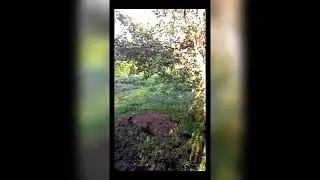 дача от и до своими руками#дача#дачаотидо#дачасвоимируками#