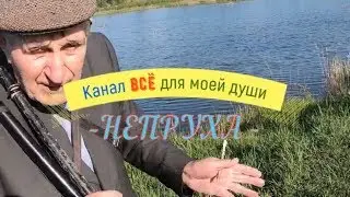 НЕПРУХА. Ни хвоста, ни чешуи, даже не одной поклевки... . Как так?