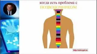 Есть проблемы с позвоночником?