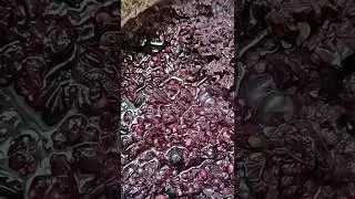 Брожение.