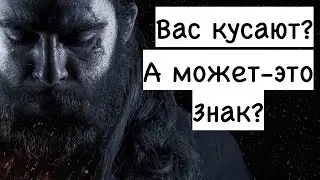 Если Ваша собака на вас лает, значит кто-то подкармливает её на стороне? И речь не о собаке...