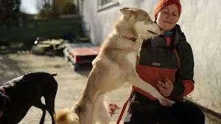 Digidol yn gosod Mynydd Sleddogs ar drywydd twf