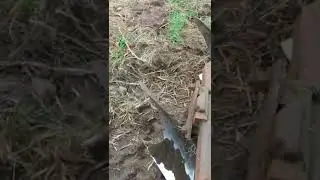 Весенняя вспашка целины на советском тракторе Т-25А. Подробно в полном видео на канале Просто Саныч