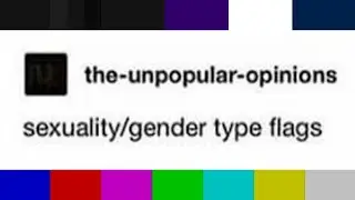 Unpopular opinion: Sexuality/gender type flags