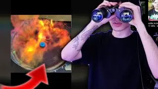 strim typu CIEKAWOSTKI KTÓRE ROZWALĄ CI MÓZG... 🤓🤓🤓