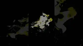 Slow Motion Fire