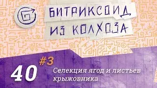 #40/3 Дизайн блоков в лендинге 