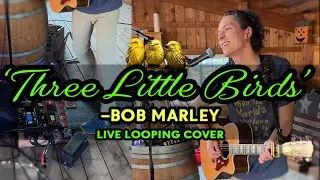 Bob Marley - Three Little Birds (Live Looping Acoustic Cover) - Brent Brown