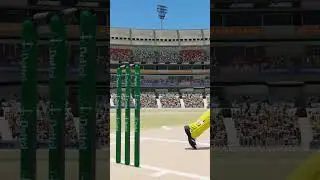 Bowled Cricket 22 