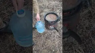 лосятина в казане