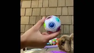 Fidget trading!