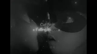 ladynoir EVOLUTION [1st-5th season] edit || Suzume no Tojimari Theme Song