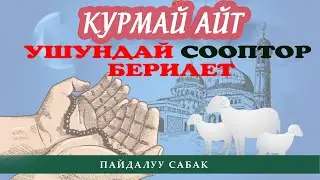 Курман айт күнү чалынган курмандыктан пайда болгон сооптор / устаз Иметов Садридин