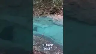Rio Sonador en Yasica🇩🇴 
