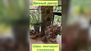 Вечный декор Шары имитируют стриженные растения