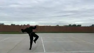 Golden lion Kempo - breaking with kicks