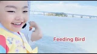 Feeding Bird at Wolmedo Incheon