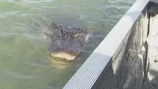On the Rio Grande: Border Patrol shows us how crossings have dropped in Eagle Pass
