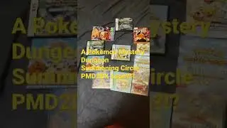 The Pokemon Mystery Dungeon Summoning Circle