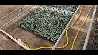 27 сентябр 2024 й холатига иссикхонамиз https://t.me/Pituniyaflovers