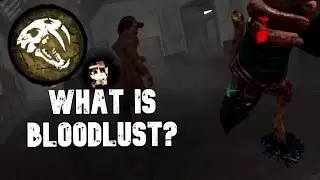 New Player's Guide | EVERYTHING You Need to Know About Bloodlust | Dead By Daylight