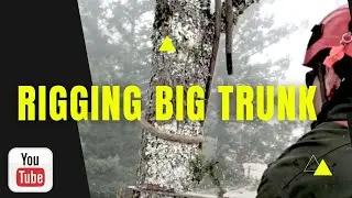 rigging big trunk