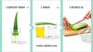 ¿Dolores y Problemas Digestivos? ¡Aloe Vera es la Solución! Aquí Te Contamos Cómo 🌿