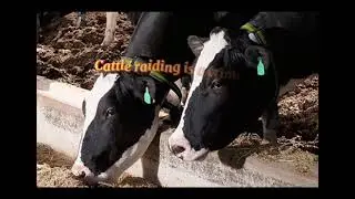 D033 | LIVESTOCK TRACKING SYSTEM | FINAL YEAR PROJECT -PIEX_V9 | DIS 2020|