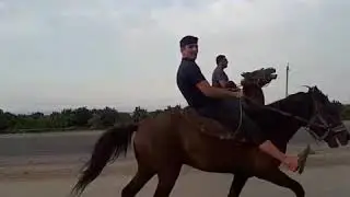 SariTel (Shemkir) Alagöz Kralin qardashi. Gonderdi Elmeddin