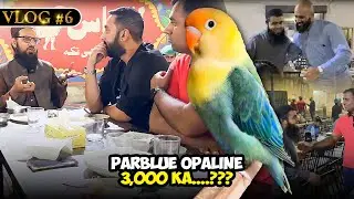 #NS_Vlog ParBlue Opaline 3,000 Ka....???