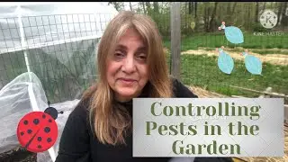 Controlling Pests in the Garden: Insect Netting, Companion Planting,  and Organic Pest Control