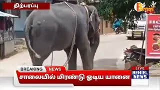 திற்பரப்பில் சாலையில் சென்று கொண்டிருந்த யானை திடீரென மிரண்டு ஓடியதால் பரபரப்பு#Thirparappu#benieltv