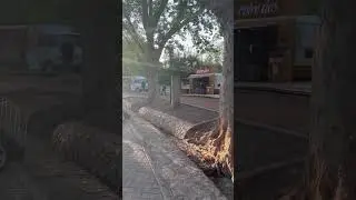 Rolê no parque San Martin em Mendoza.