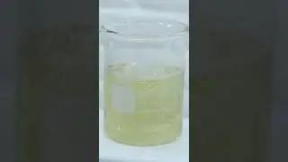 PUDIM de PAPEL HIGIÊNICO