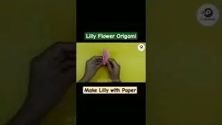 Make lilly With Paper | Lilly Flower Origami | #shorts #2024 #lilly #papaercraft #origami #top