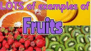 FRUIT for kids 🍊🥝🍉 Can you name ALL of the different fruits? Miss Ellis 