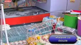xxs a vez dos vermelhos